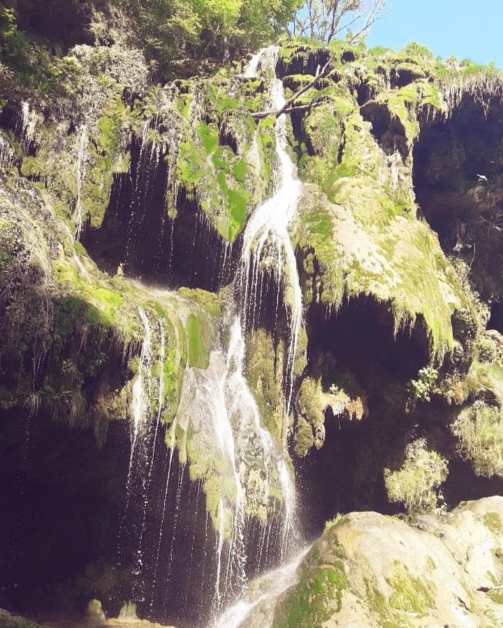 Chambre d'hôtes Comme une évidence Clairvaux-les-Lacs Esterno foto